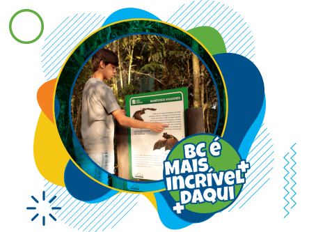 Parque Escola - Diversão que educa!